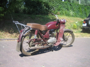 WFM 06-S34